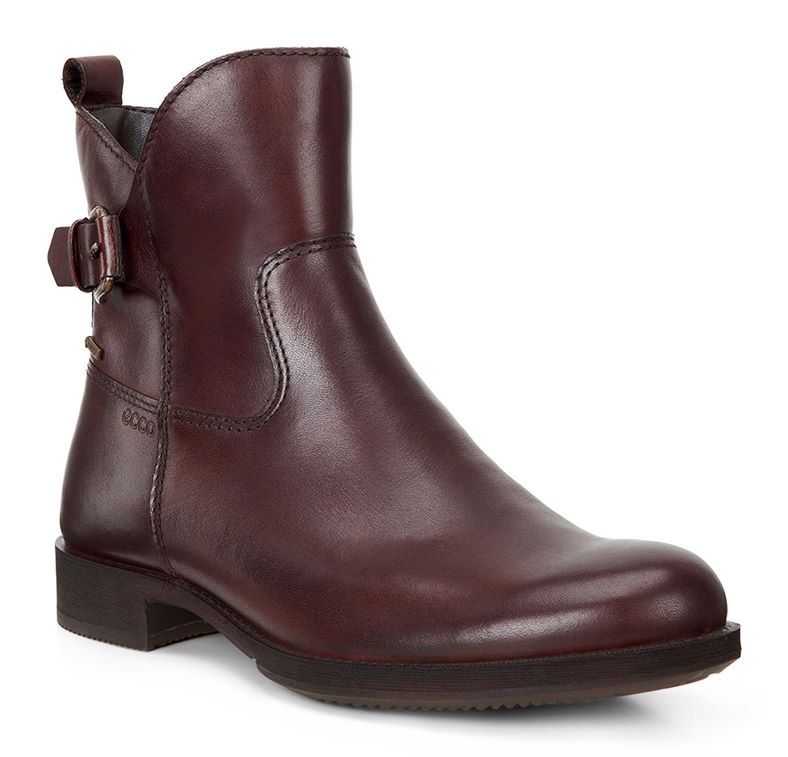 SAUNTER (Brown)