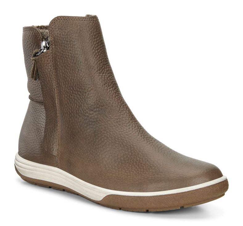 CHASE II (Brown)
