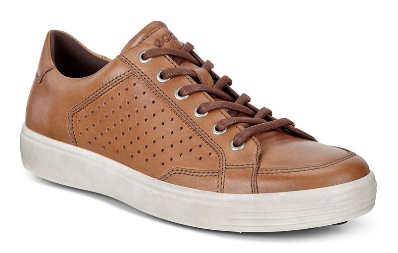 SOFT 7 MEN'S (Brown)