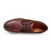 KENTON (Brown)