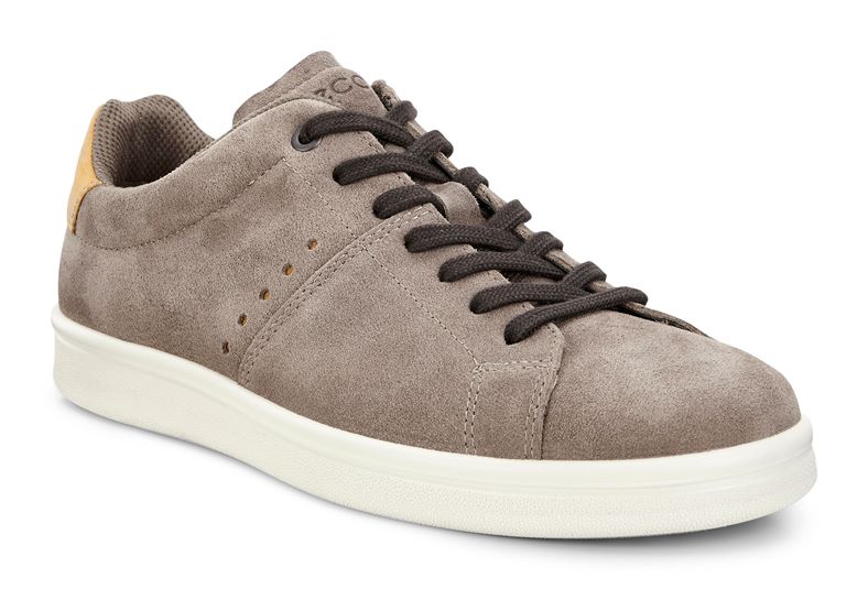 KALLUM (Brown)