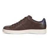  Kallum (Brown)