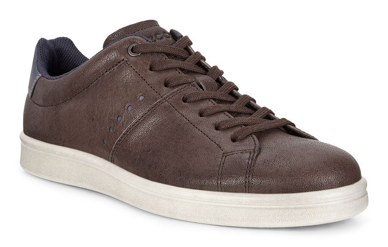  Kallum (Brown)
