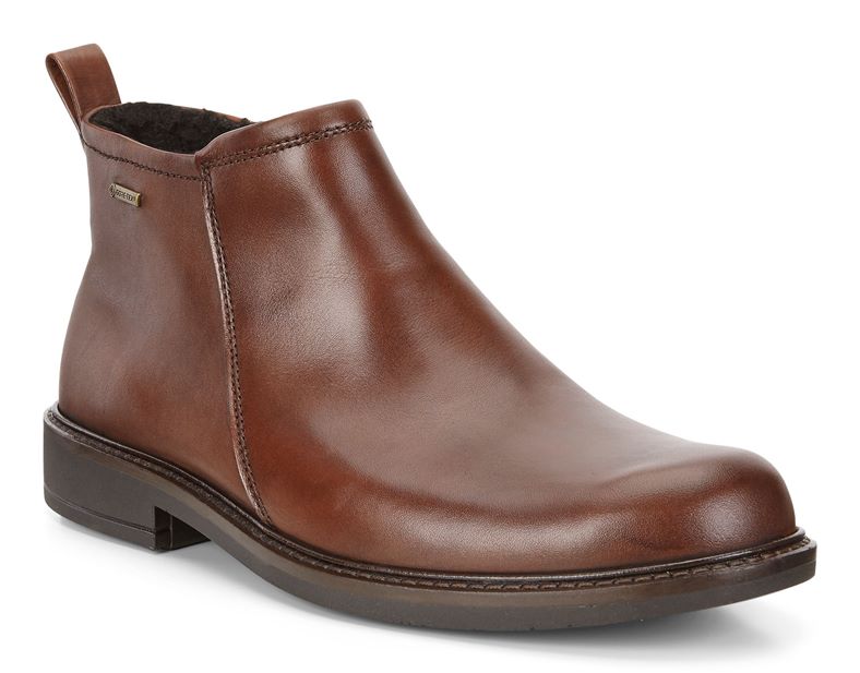  Holton (Brown)