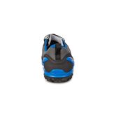  Biom Venture M
