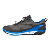  Biom Venture M