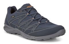  Terracruise Lt M