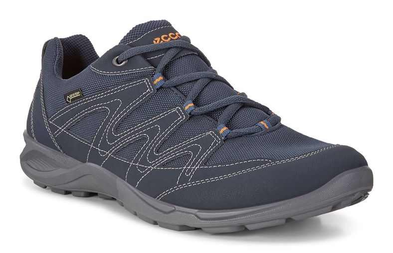  Terracruise Lt M (آبی)