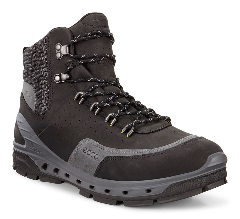 BIOM VENTURE TR (مشکی)