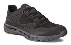  Terrawalk M