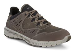  Terrawalk M
