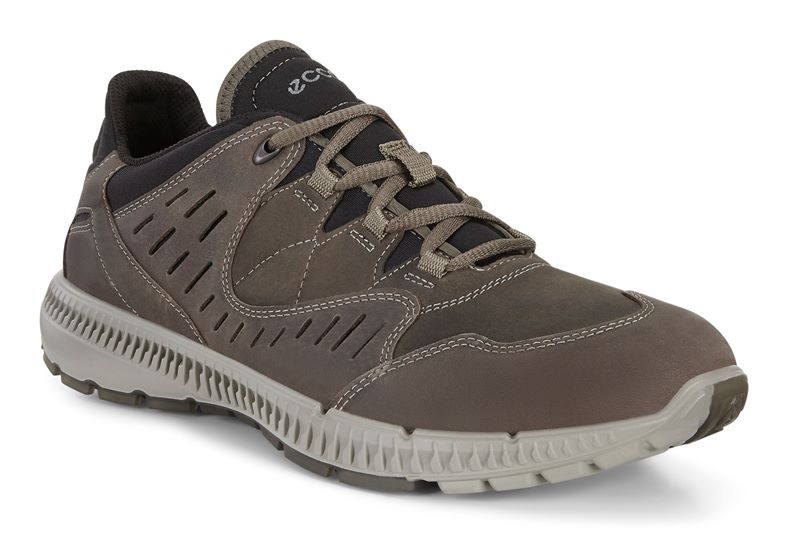  Terrawalk M (سبز)
