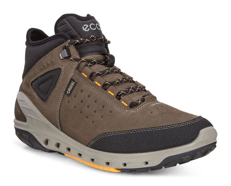 BIOM VENTURE MEN'S (قهوه ای)