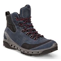 BIOM VENTURE TR. (آبی)