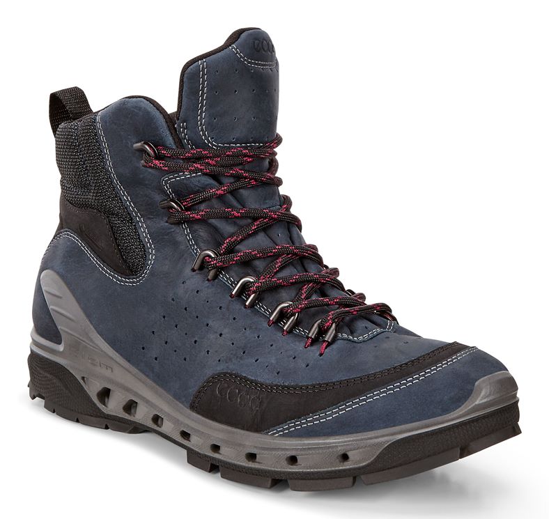 BIOM VENTURE TR. (آبی)