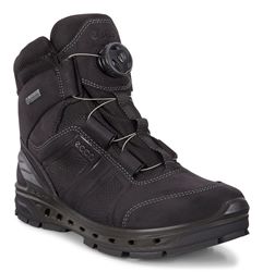BIOM VENTURE TR