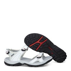  Offroad Lite W