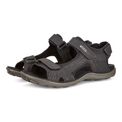  All Terrain Lite W