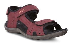  All Terrain Lite W