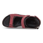  All Terrain Lite W (قرمز)