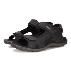  All Terrain Lite M