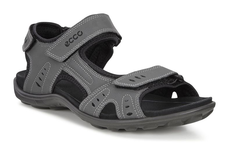 All Terrain Lite M (طوسی)