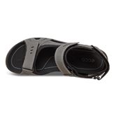  All Terrain Lite M (طوسی)