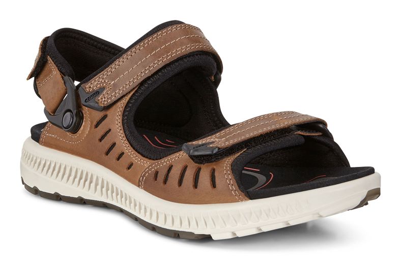  Terra Sandal W (قهوه ای)