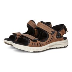  Terra Sandal W