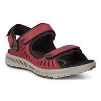  Terra Sandal W
