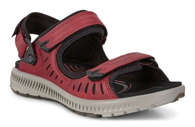  Terra Sandal W