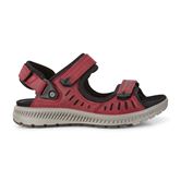  Terra Sandal W