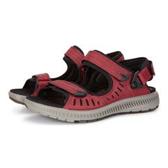  Terra Sandal W
