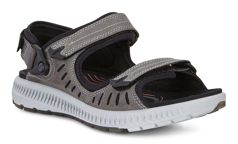  Terra Sandal W (طوسی)