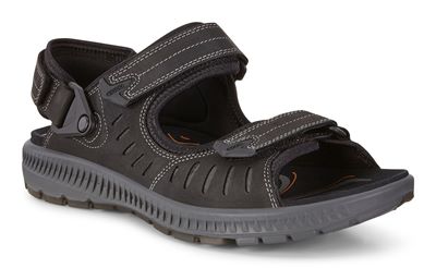  Terra Sandal M