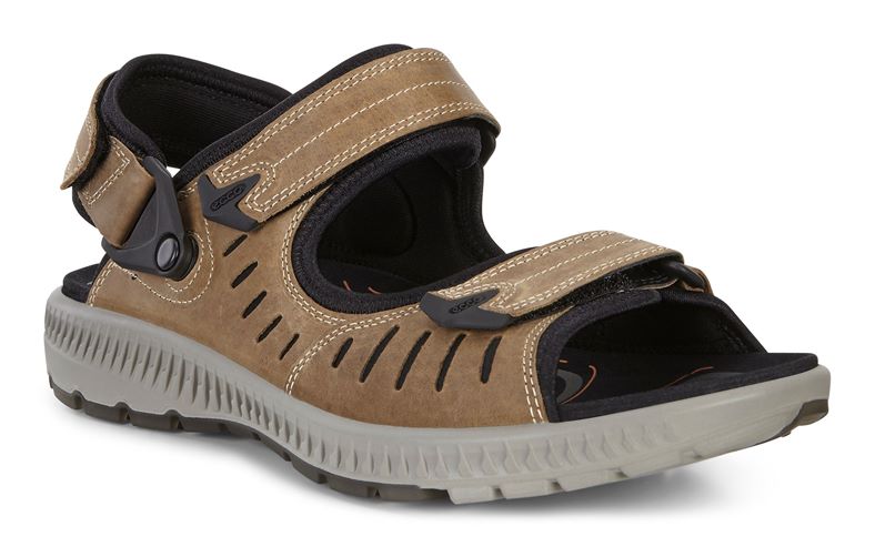 Terra Sandal M (قهوه ای)