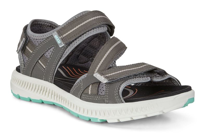  Terra Sandal W (طوسی)