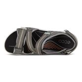 Terra Sandal W (طوسی)