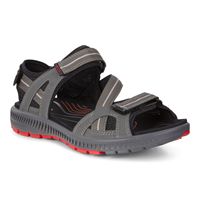  Terra Sandal M