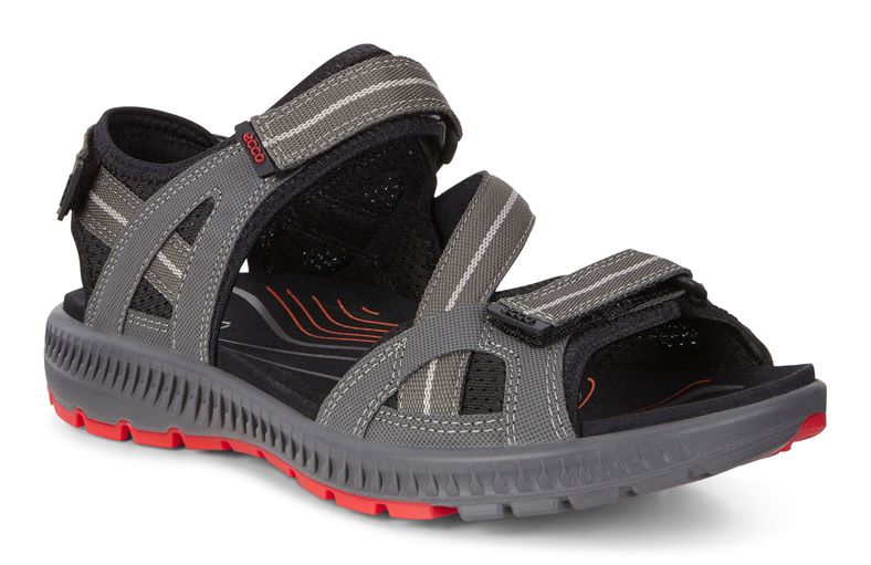  Terra Sandal M (طوسی)