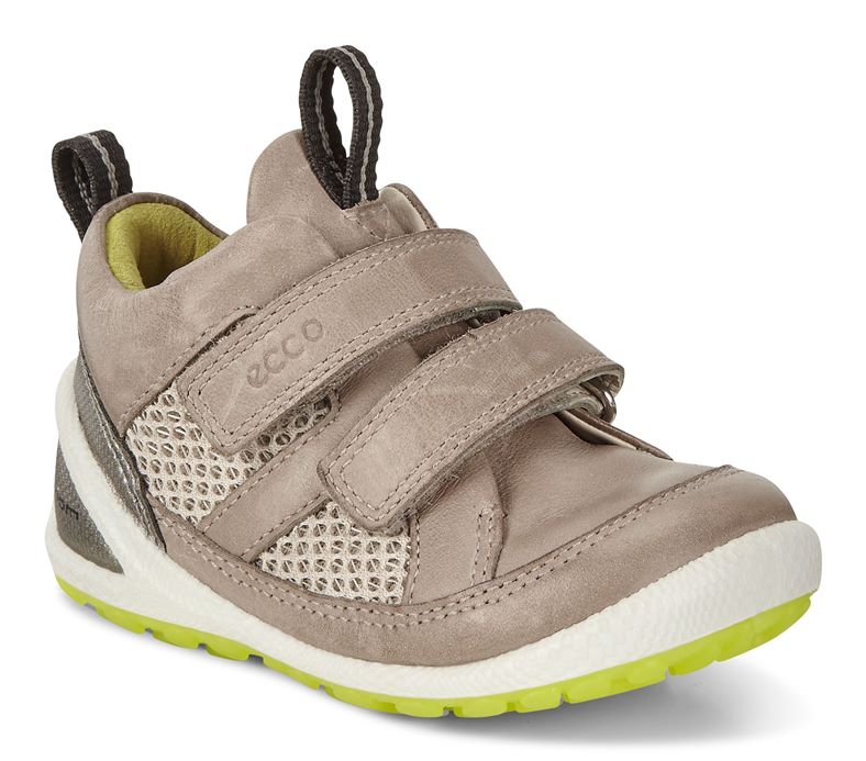  Lite Infants (طوسی)