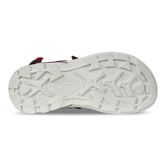  Biom Raft (بنفش)