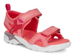  Biom Raft