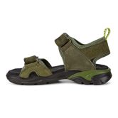  Biom Raft (سبز)