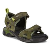  Biom Raft (سبز)