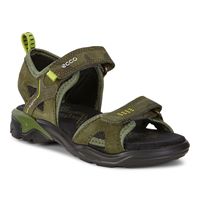  Biom Raft (سبز)