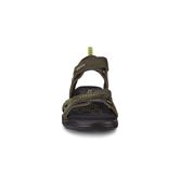  Biom Raft (سبز)