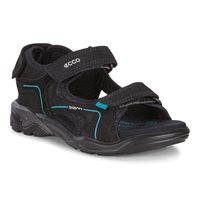  Biom Raft