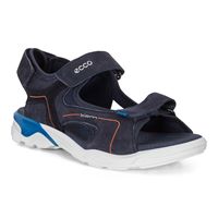  Biom Raft (آبی)