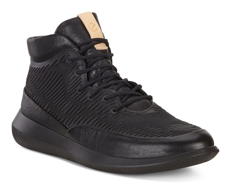 SCINAPSE LADIES (Black)